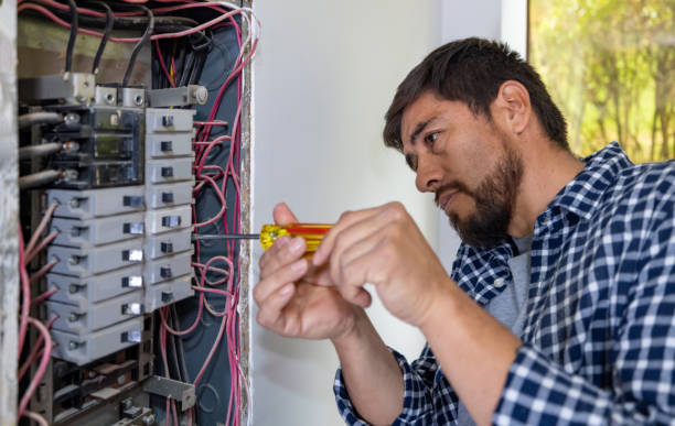 Best Home Electrical Repair  in Menomonie, WI